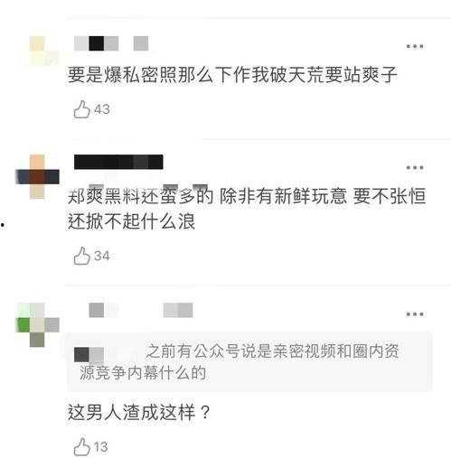 张恒爆料邓爽视频大全,揭秘娱乐圈背后的秘密